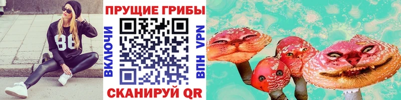 Псилоцибиновые грибы прущие грибы  Стрежевой 